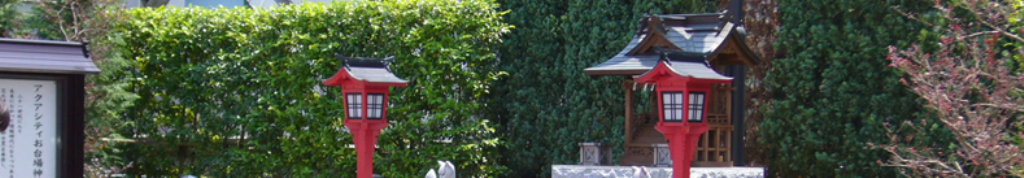 電動自転車のアレやコレ。。